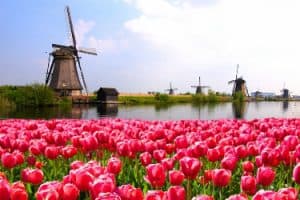 Uitdrukkingen in het Engels