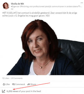 Sheila de Wit -LinkedIn views